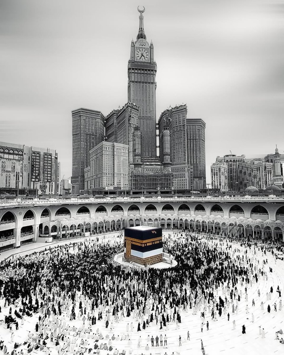 Shawky Mohamed (@shawkym25577700) on Twitter photo 