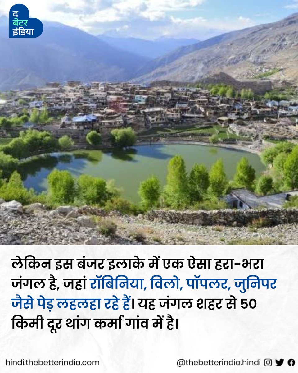 TbiHindi's tweet photo. हिमाचल के एक शख़्स ने, अकेले कैसे Cold Desert में बना दिया हरा-भरा जंगल। किन्नौर के Forest Man की कहानी >>

#HimachalFoundationDay #RealLifeHero #ForestMan #Changemaker #HimachalPradesh

[Himachal Foundation Day | Real Life Hero | Forest Man | Changemaker | Himachal Pradesh] https://t.co/SQjSxC4USo
