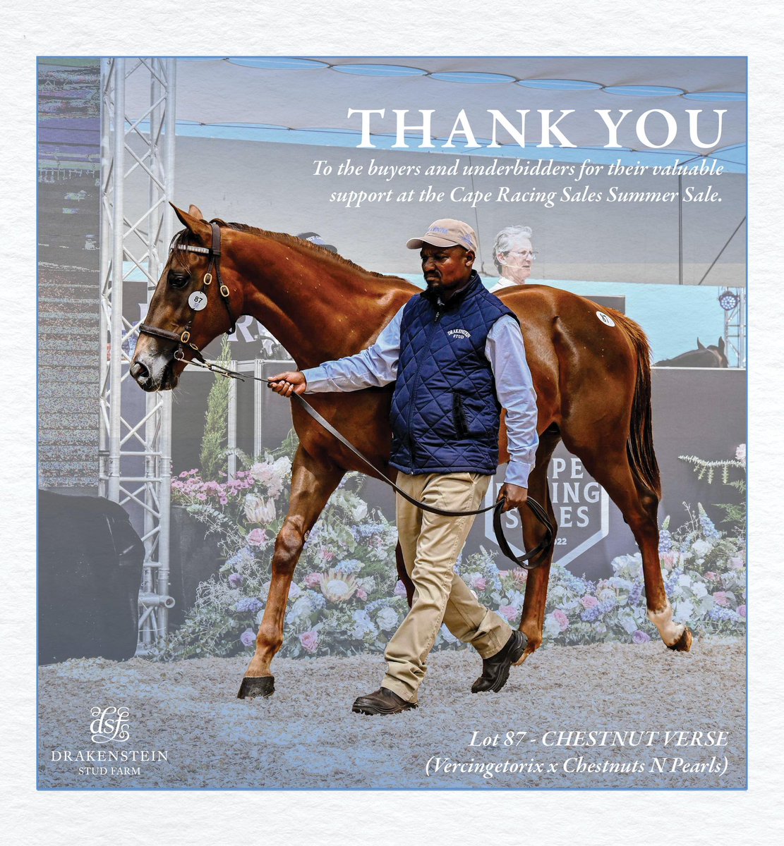 Drakenstein Stud (@drakensteinstud) on Twitter photo 