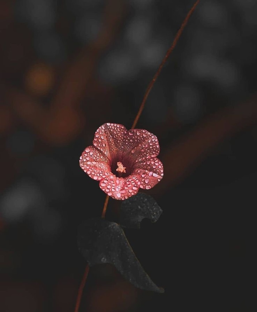 Md Azman Ali tweet media