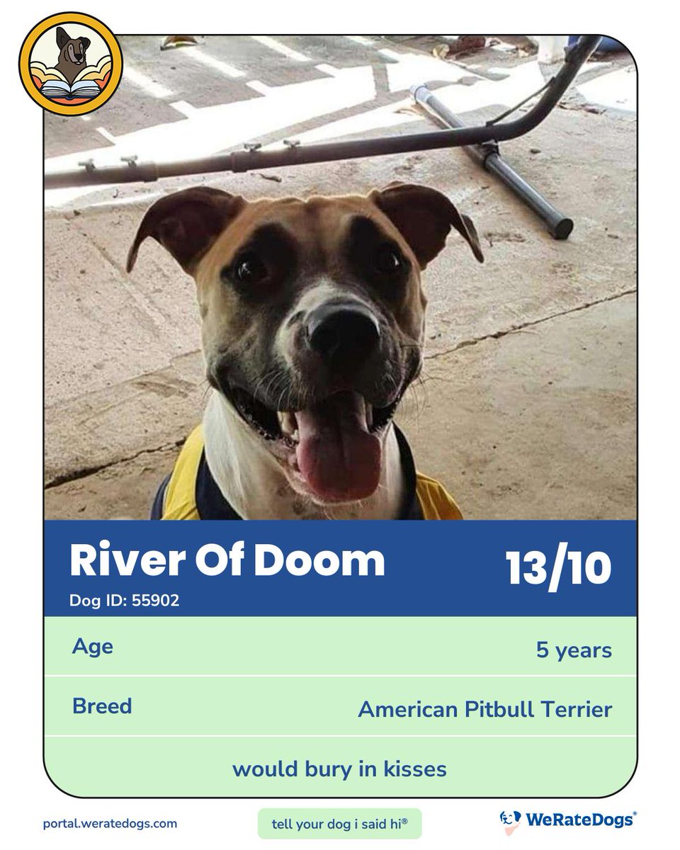 JaymieRains's tweet photo. #RiverOfDoom is Official! ๐
@dog_rates
https://t.co/MItZWdZotP https://t.co/9gkzMEPUFy