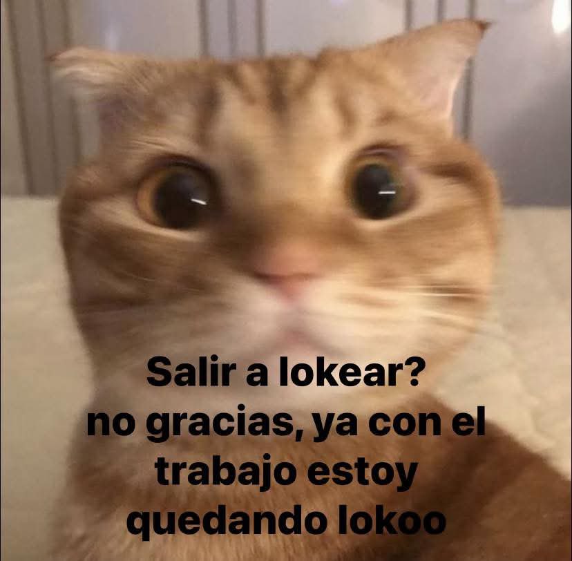 Sandval_nyc's tweet photo. Loquísimo https://t.co/nnzzDAOPY0