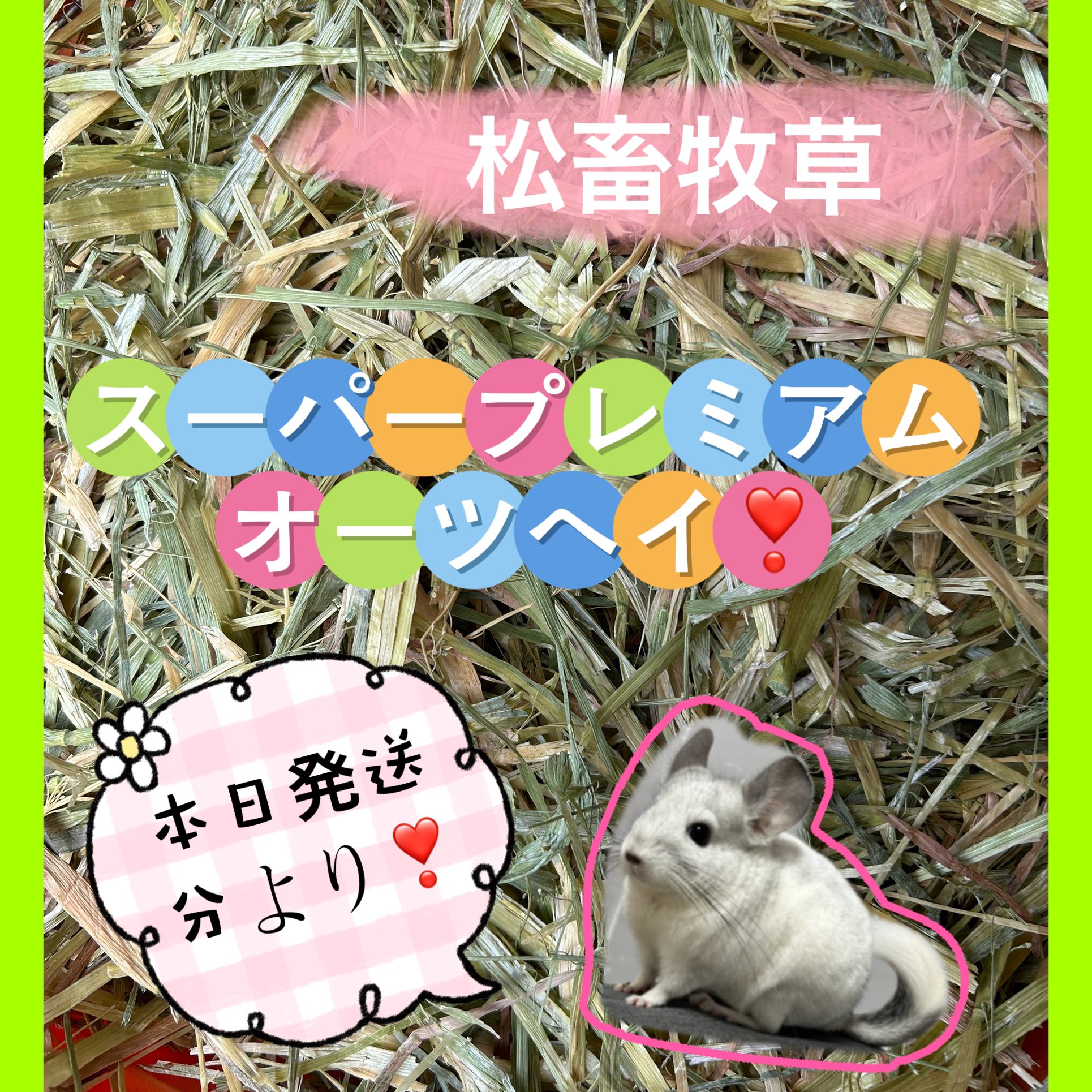 松畜 Animal Foods (@Animal_Foods) / X 松畜 Animal Foods (@Animal_Foods) / X