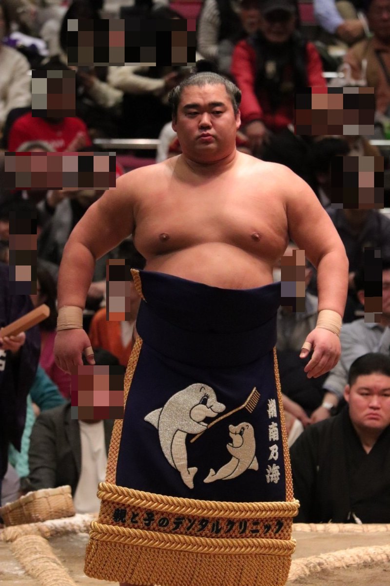 相撲 遠藤関 反物 甚平 2025年最新】遠藤関反物の人気アイテム - メルカリ