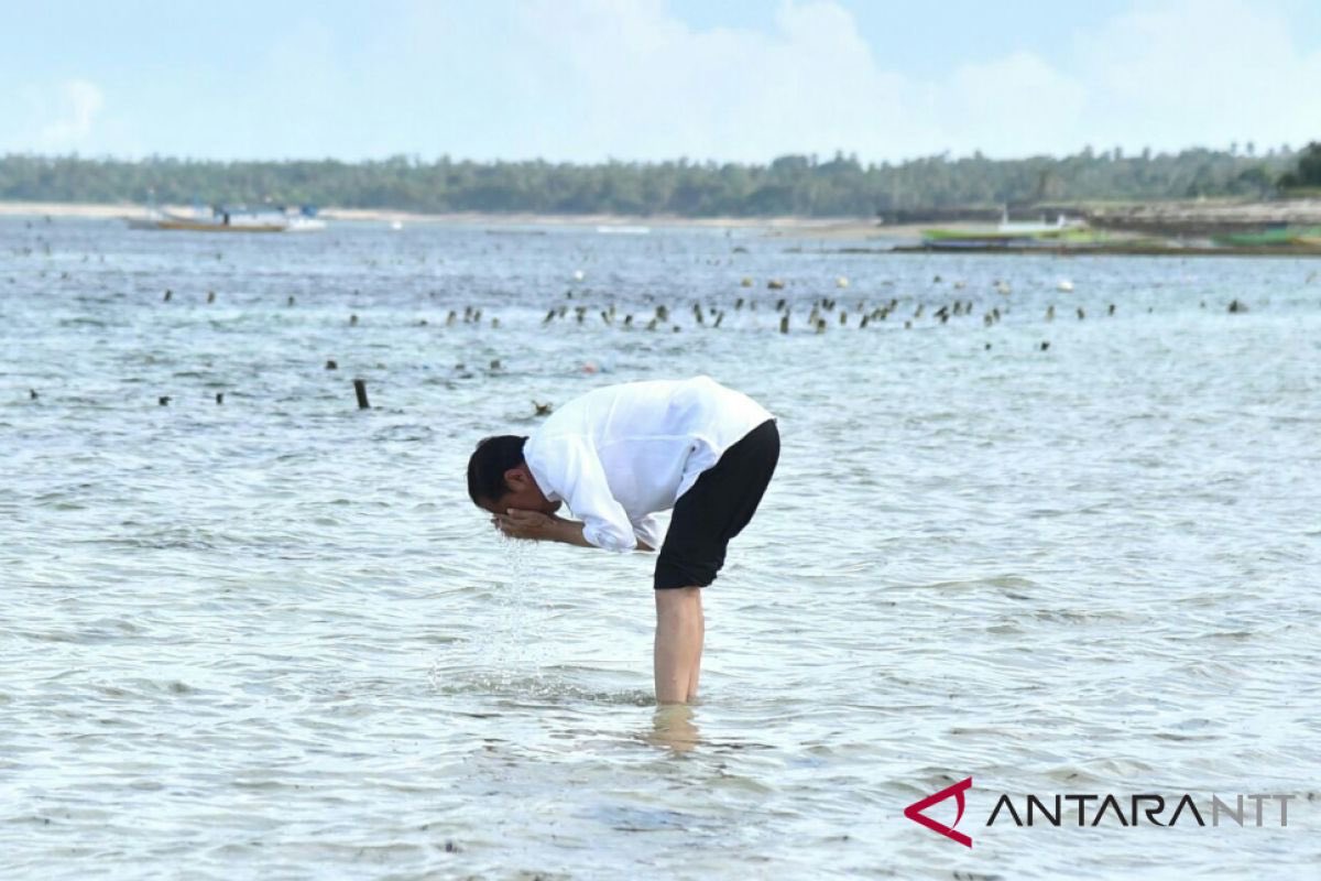 NyaiNeneng's tweet photo. Cuci muka pakai air laut? Ehm… ayo pak Wo, lanjutkan ritual2 kayak gini.😅 https://t.co/kQRwOA4h3l