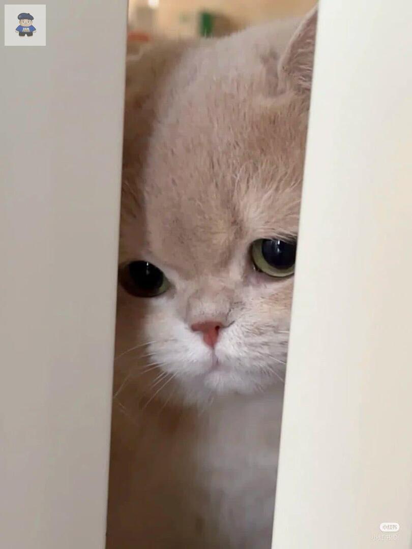 NO DM - KIRIM FESS CEK HIGHLIGHTS tweet media