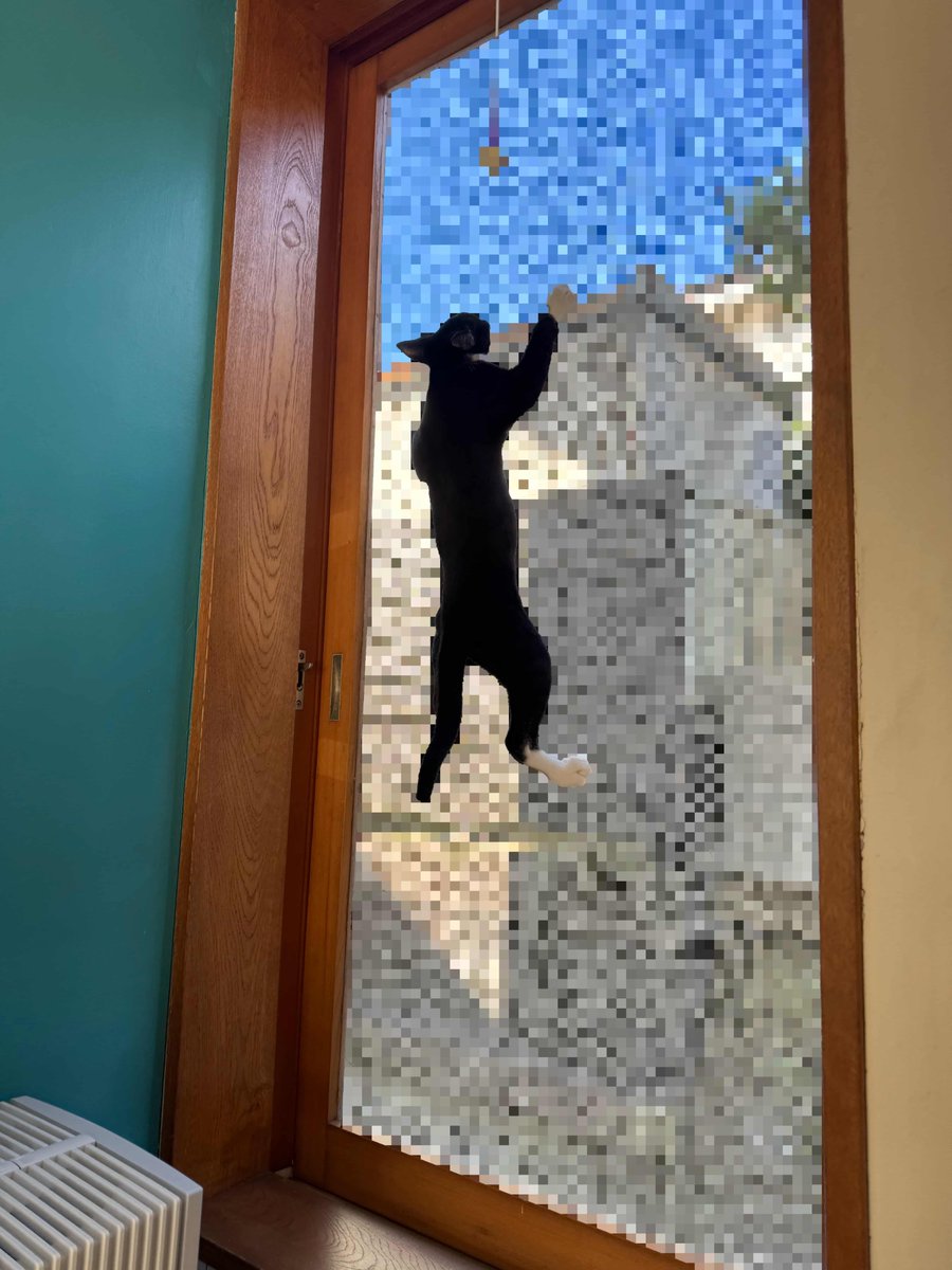 ゴーゴーカニーラ ゴーゴーカニーラ 野村トーイ「ゴーゴーカニーラ」 野村トーイ