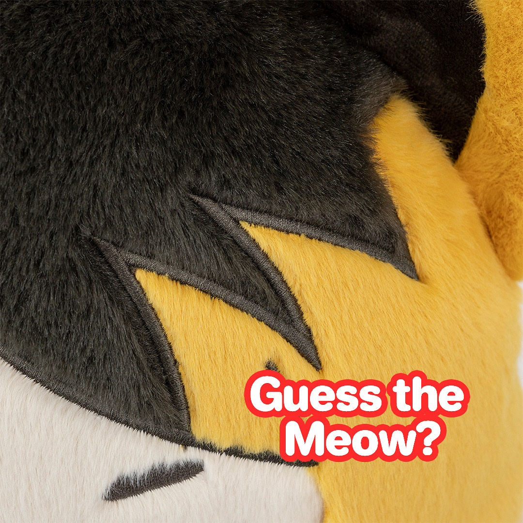 Plushshop_com's tweet photo. guess the meow?👀
#kenma #kenmaplush #kenmakozume #kenmacosplay #kozumekenma #iwaizumi #haikyuu #haikyuuedits #haikyuuboys #haikyuumeme #anime #animeedit #animemerch #plushies #plush #plushtoys #fyp https://t.co/YFAbAefK49