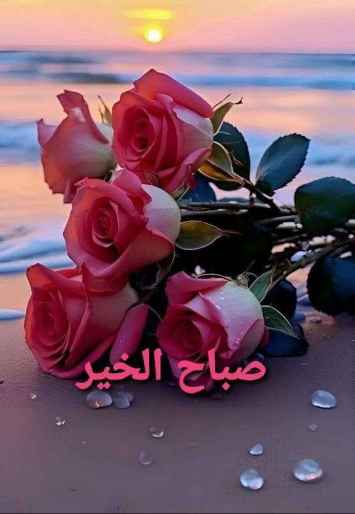 سناء نايف tweet media