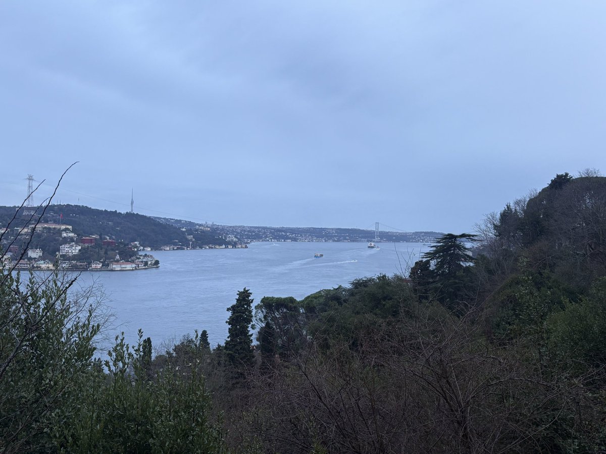 Jmjmjm good morning fam . I woke up in this beautiful house. I'm excited to meet you. <a href="/JupiterExchange/">Jupiter</a> <a href="/jupturkey/">JUP Turkish🪐 🇹🇷</a> <a href="/jup_dao/">JupiterDAO</a> <a href="/xianxlb/">xian | not an agent</a> <a href="/weremeow/">meow</a>