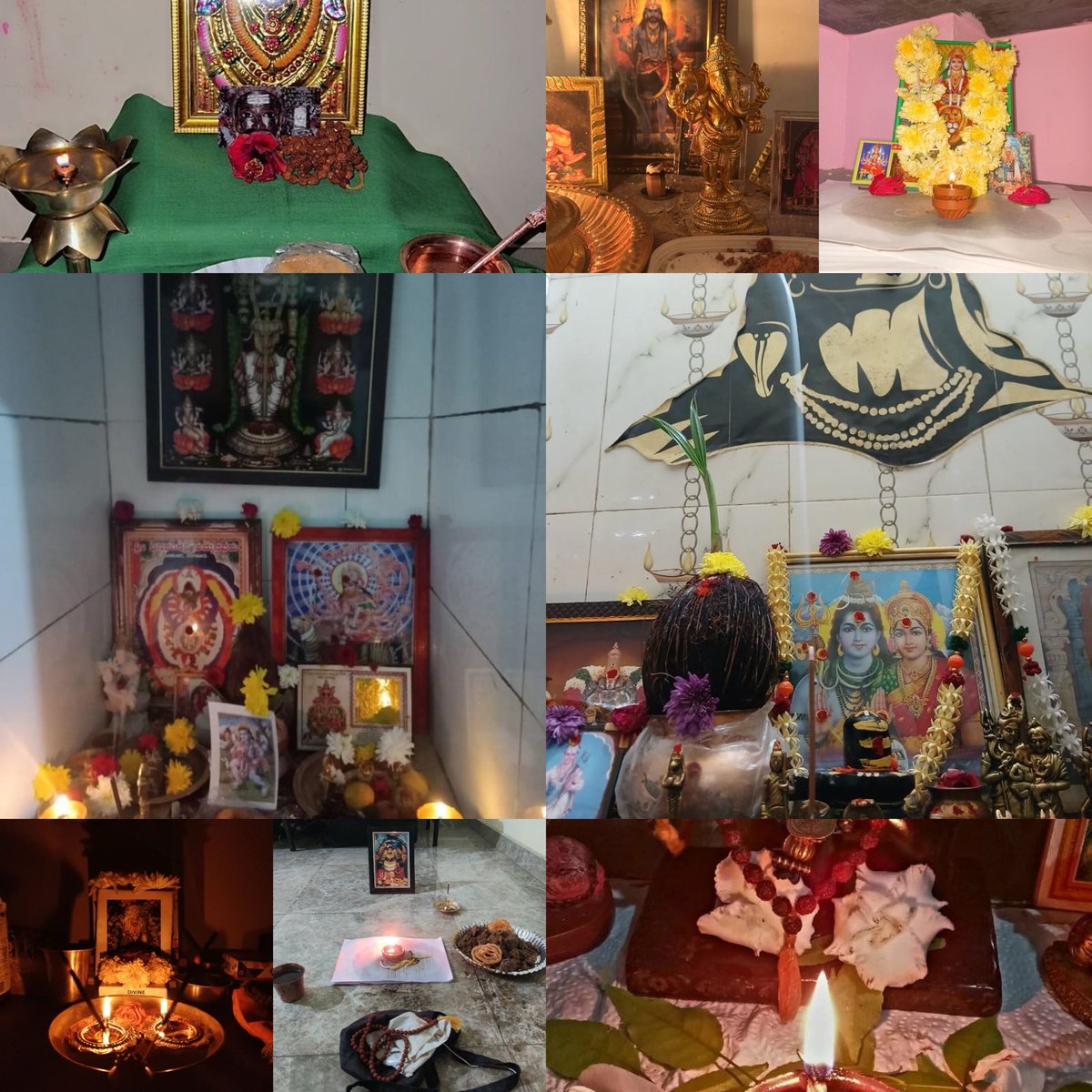 Rajarshi রাজর্ষি tweet media