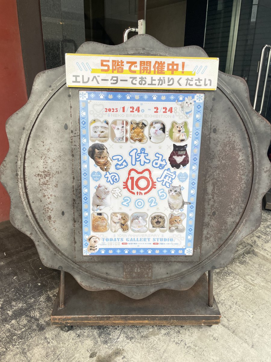 ne22co's tweet photo. ねこ休み展🐱🐾
商品たっくさん納品しています♡ https://t.co/E6d2H9RO0H