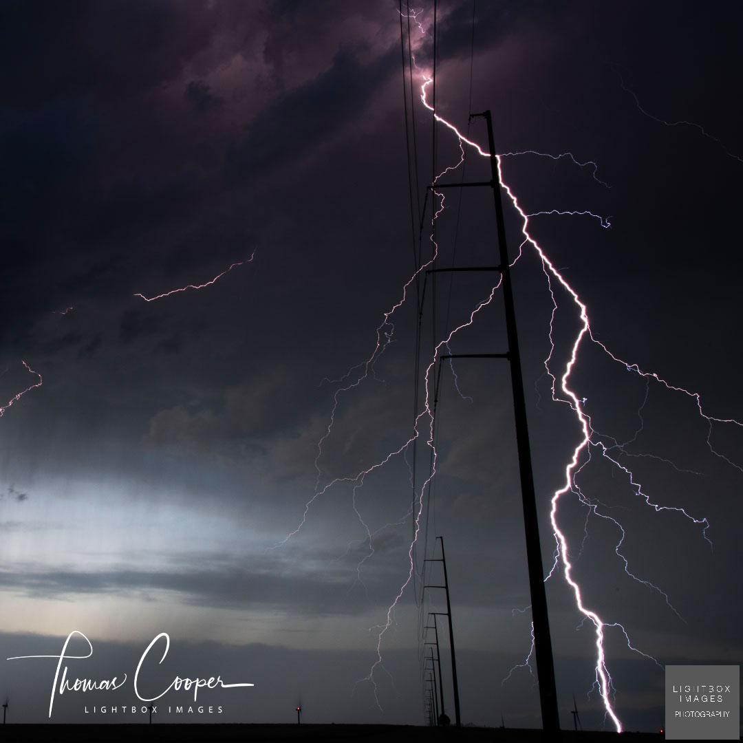 Thomas Cooper tweet media