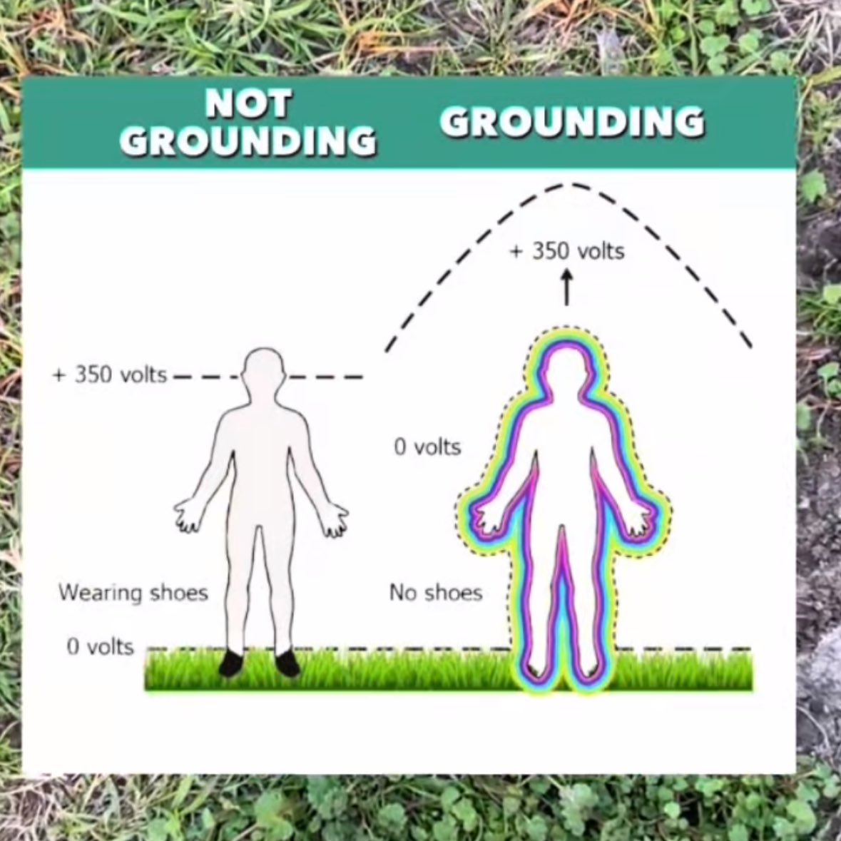 Pushing the body to the limits is one of the most important things we have to learn in life. Minerals daily with lots of water. We are electric ⚡️🔋 so GROUND yourself and spend time in nature when feeling down, drained ir exhausted!