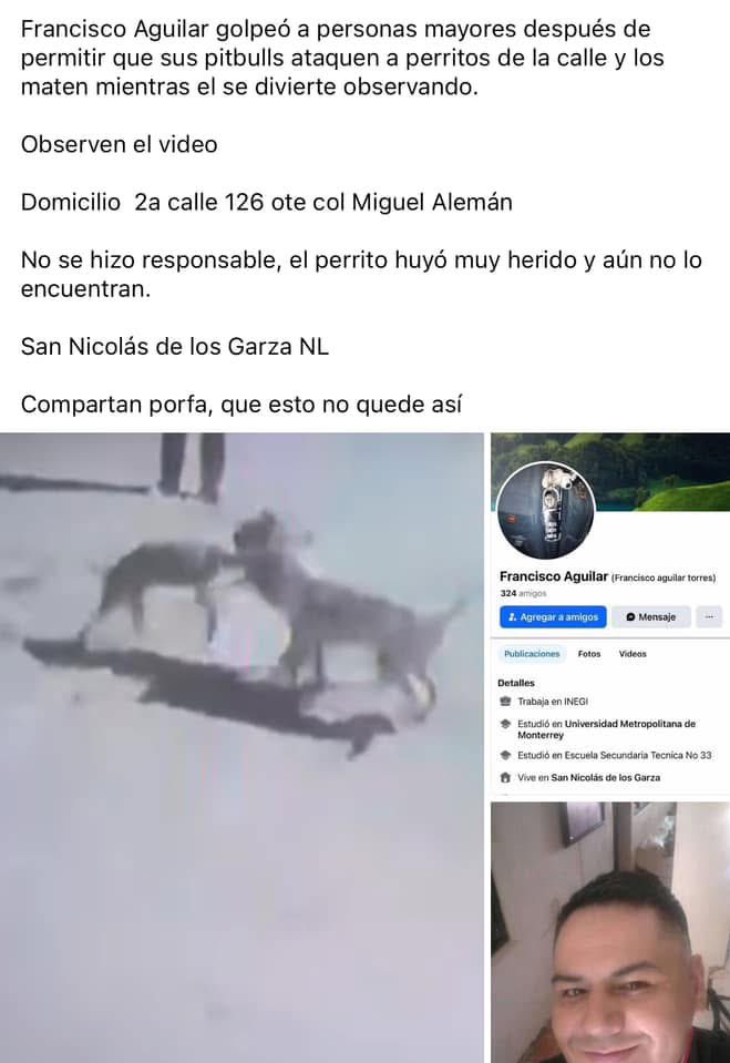 Alguien Del Montón tweet media