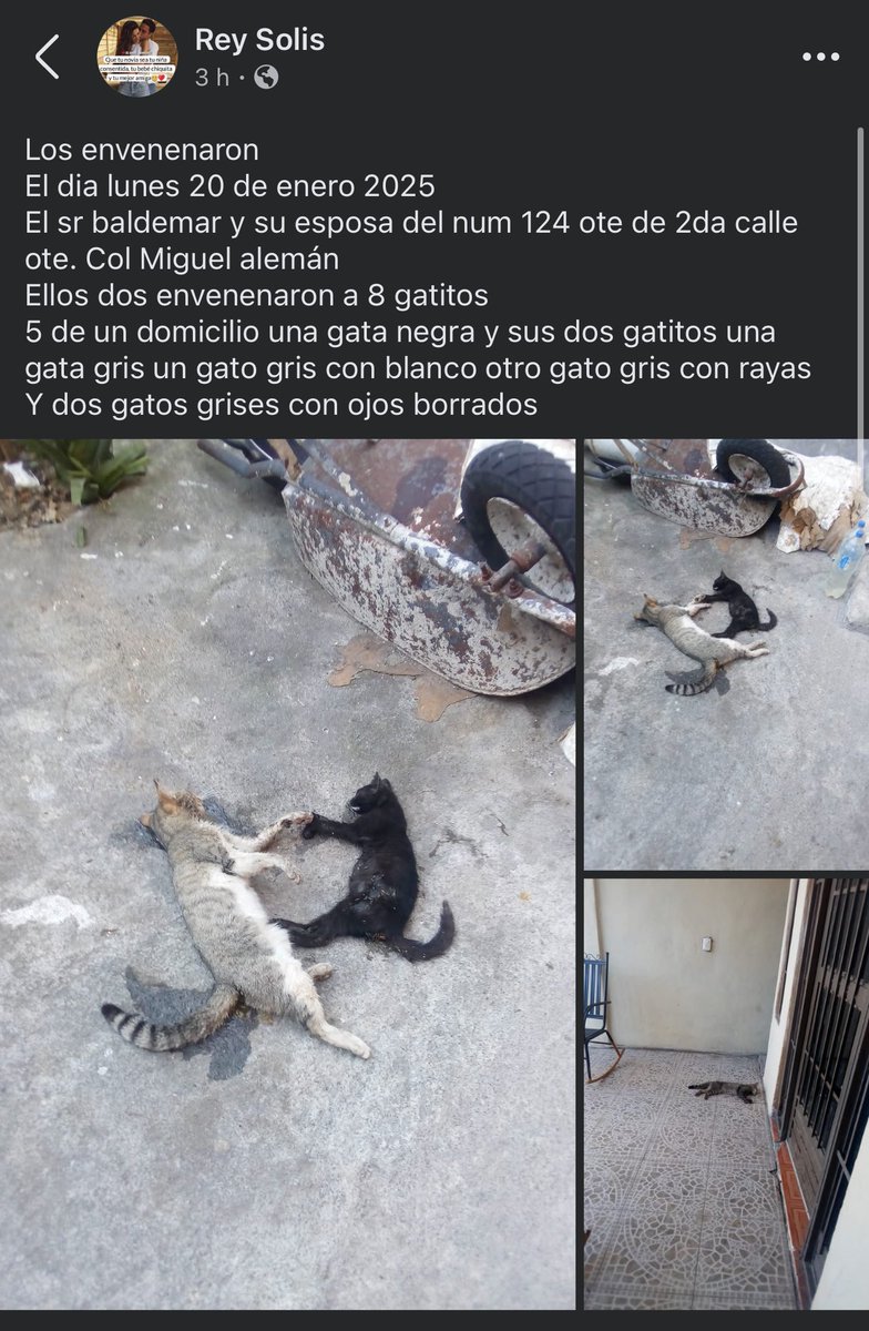 Alguien Del Montón tweet media