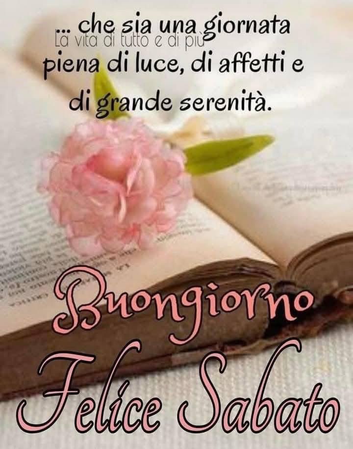 RITABIANCHi56 tweet media