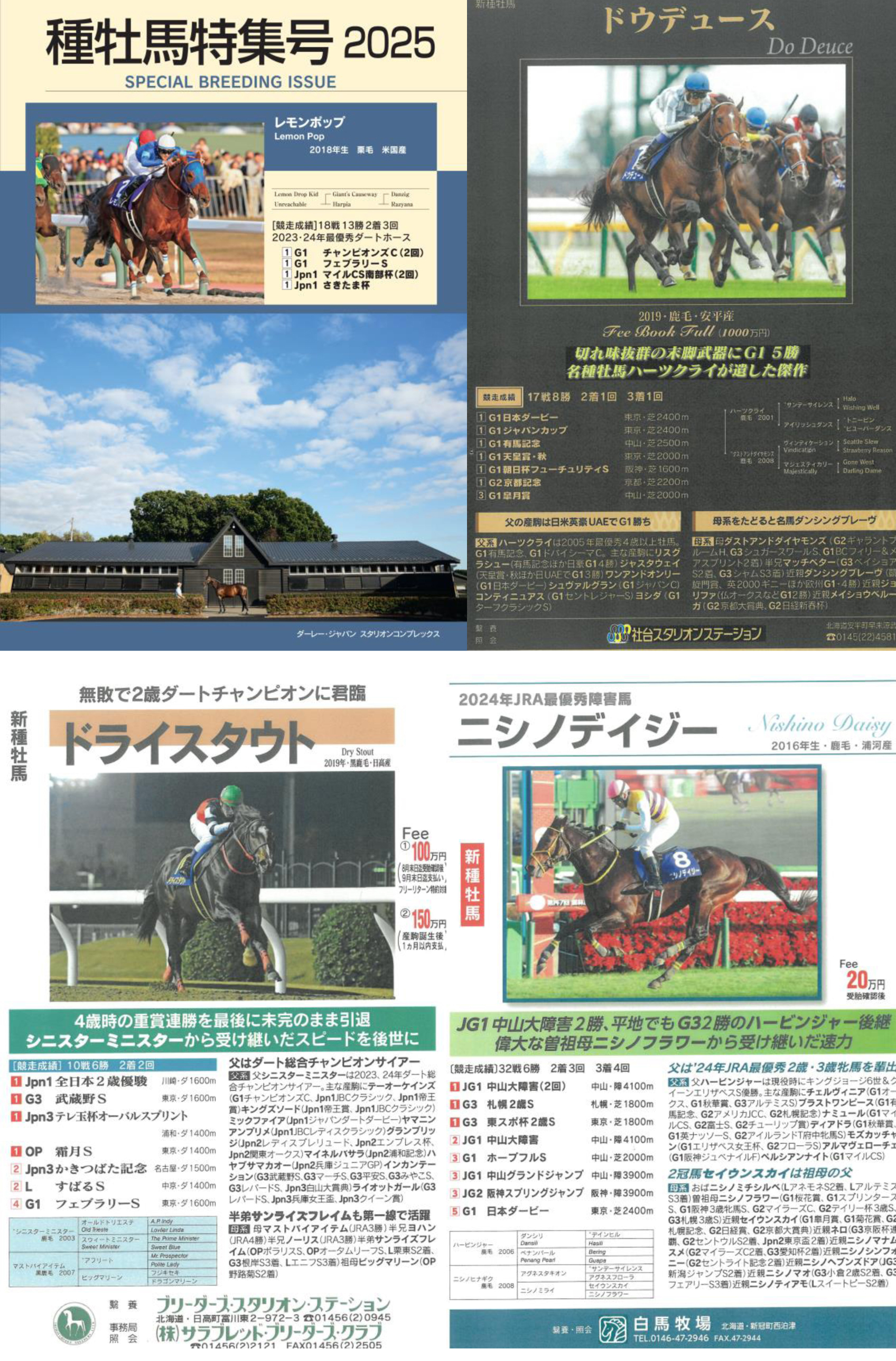 馬事通信編集部 on X: 