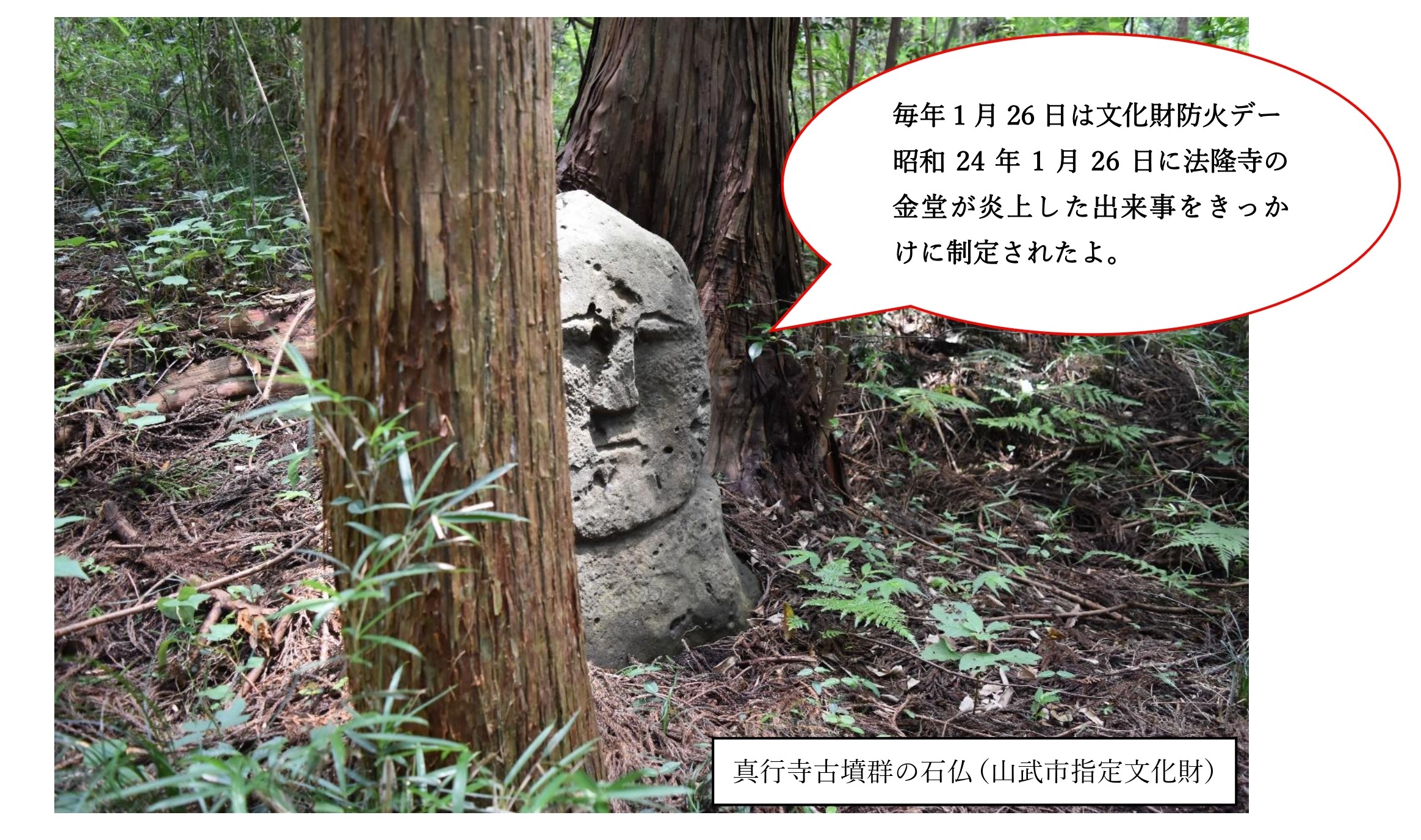 山武市歴史民俗資料館【公式】埴輪展後期開催中（5月11日まで