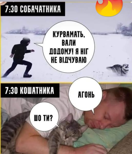 🇺🇦Позивний Майя🐝 tweet media