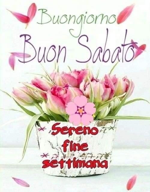 Marianna tweet media