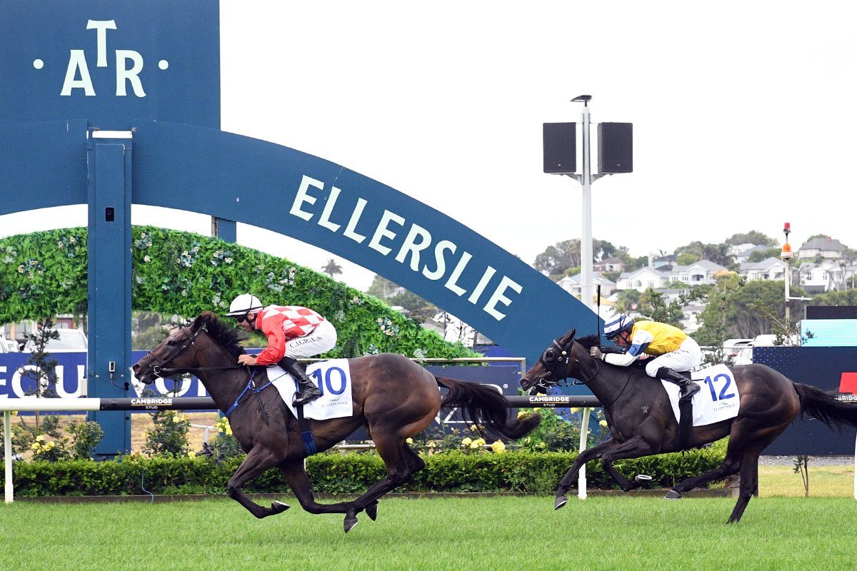 Importracingaus's tweet photo. Another great day for champion sire Savabeel with a stakes double at Ellerslie!

Shares available in our regally bred Savabeel filly to be trained by Price Kent Racing.

Shares just $5,875.

Visit our website for more information.
 https://t.co/P8gzNVLdoE https://t.co/wMlrbky9rw