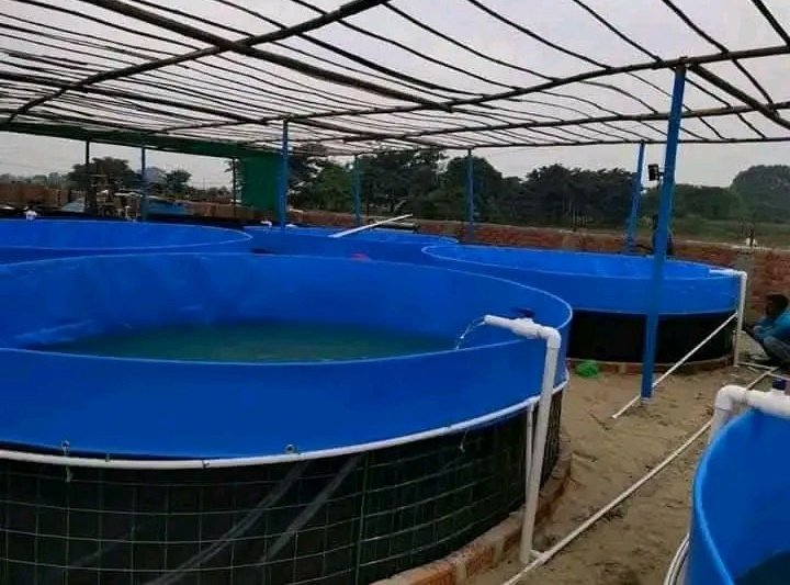 Right Cohen 🇺🇬 (@rightcohen) on Twitter photo Revolutionize fish farming with portable fish ponds! Easy to set up, cost-effective & perfect for small-scale farming. Empower your community while promoting sustainability. Let's innovate for a better future!
📝@FarmerMunezero
Like & Repost.
Follow <a href="/RightCohen/">Right Cohen 🇺🇬</a>
&LetsFarmTogether Revolutionize fish farming with portable fish ponds! Easy to set up, cost-effective & perfect for small-scale farming. Empower your community while promoting sustainability. Let's innovate for a better future!
📝@FarmerMunezero
Like & Repost.
Follow <a href="/RightCohen/">Right Cohen 🇺🇬</a>
&LetsFarmTogether
