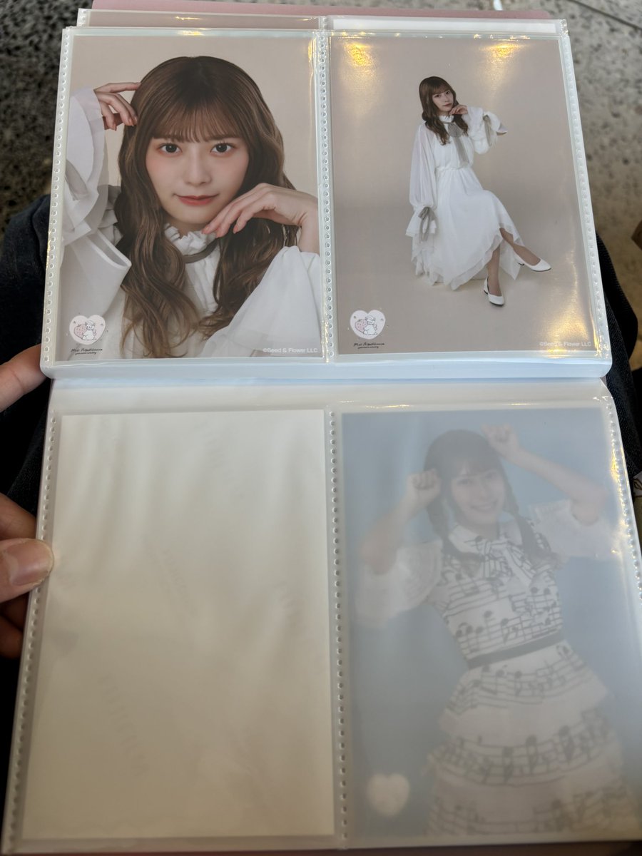 sapi🎀 tweet media