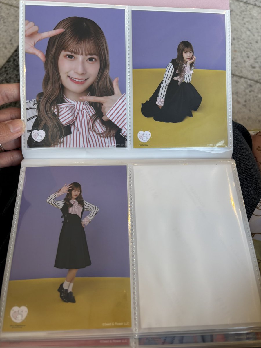 sapi🎀 tweet media