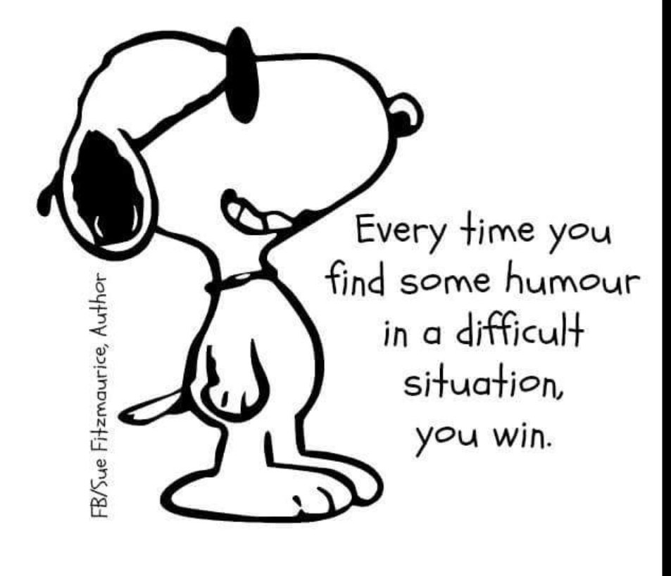 Maria Lander tweet media