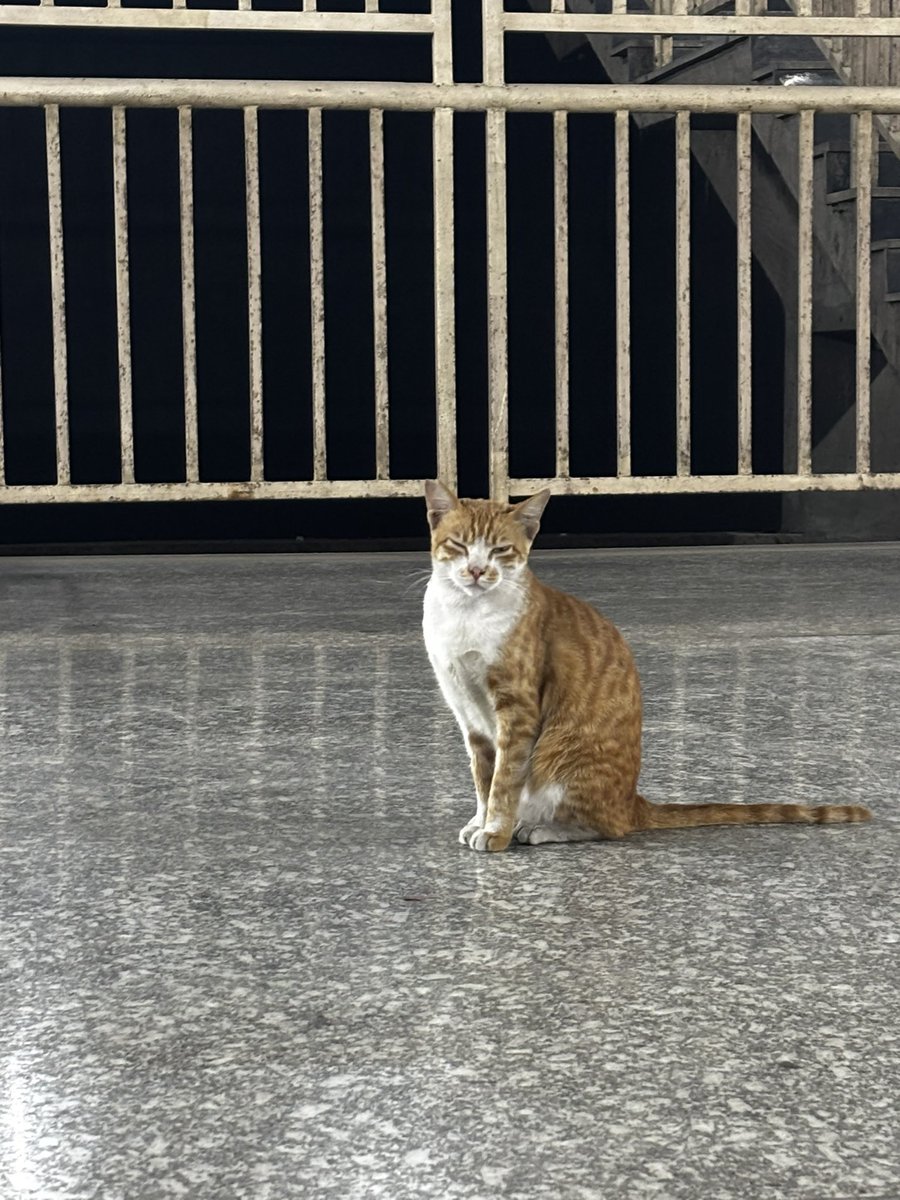 Used the metro to go back home yesterday and met this one.