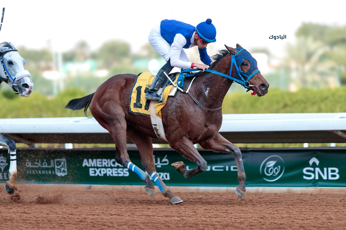 البادوك | IPADDOX tweet media