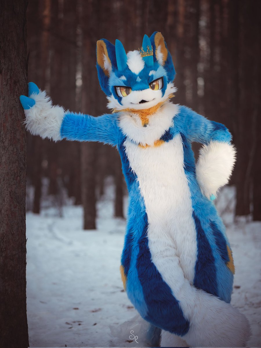 #furry #FursuitFriday 
毛五，发一张～