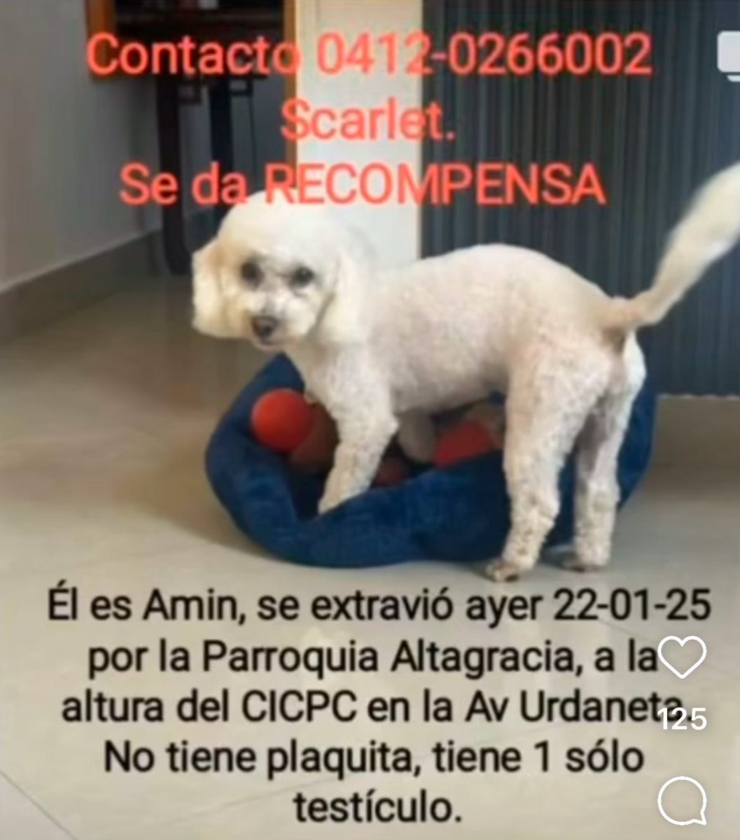 CarmenZR04's tweet photo. https://t.co/QJXcqD5zkn