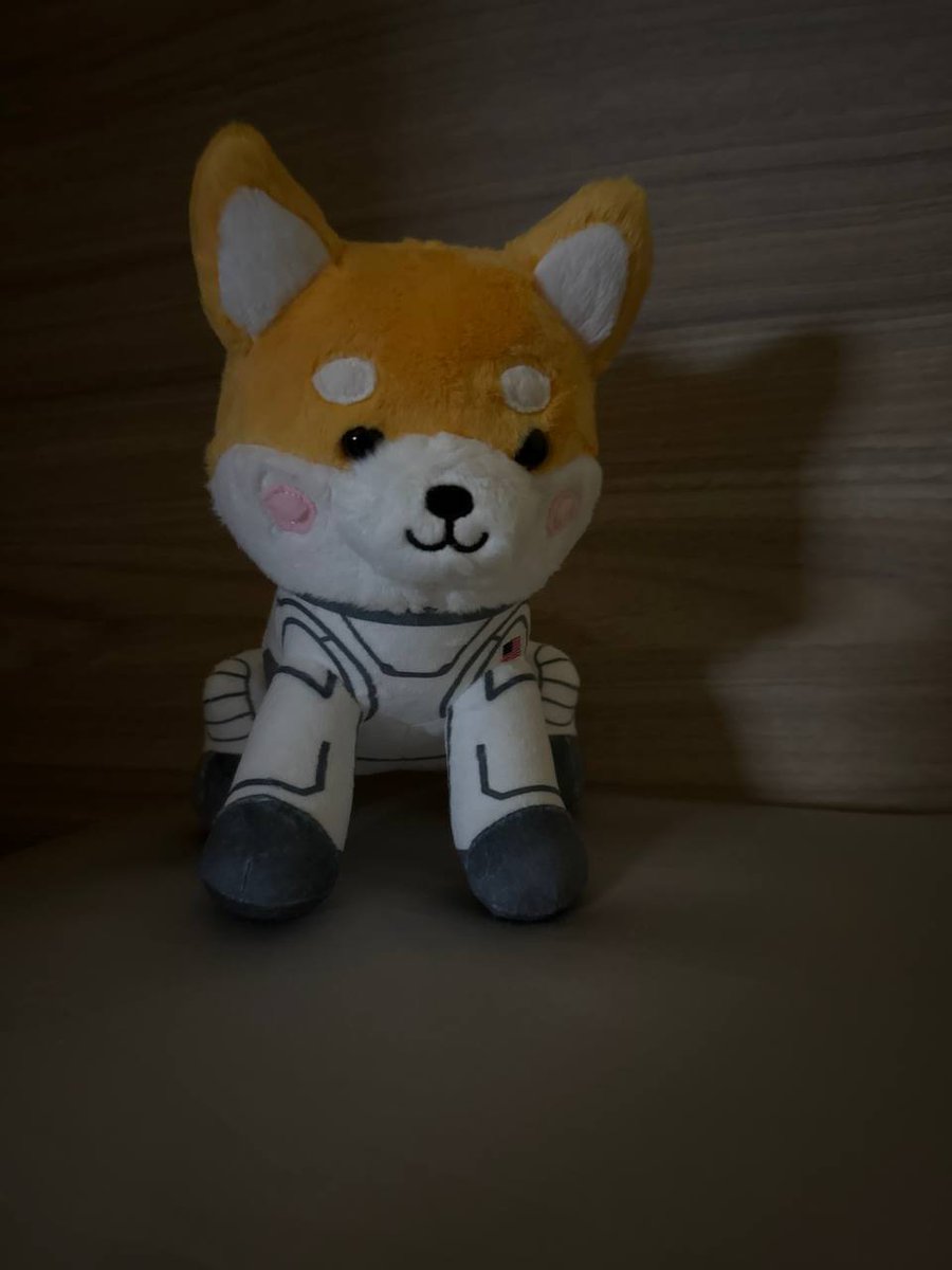 你還愛我嗎？Do you still love me? #AsteroidShiba #Asteroid