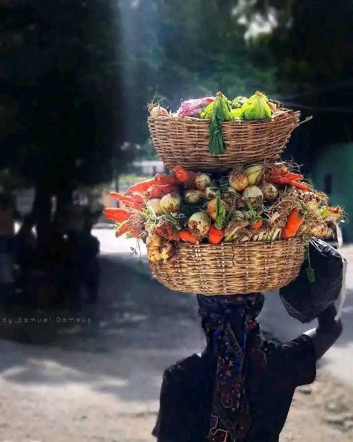 #Haiti : La photo du jour 🌬

——— Bon Samedi 💚💚  ———