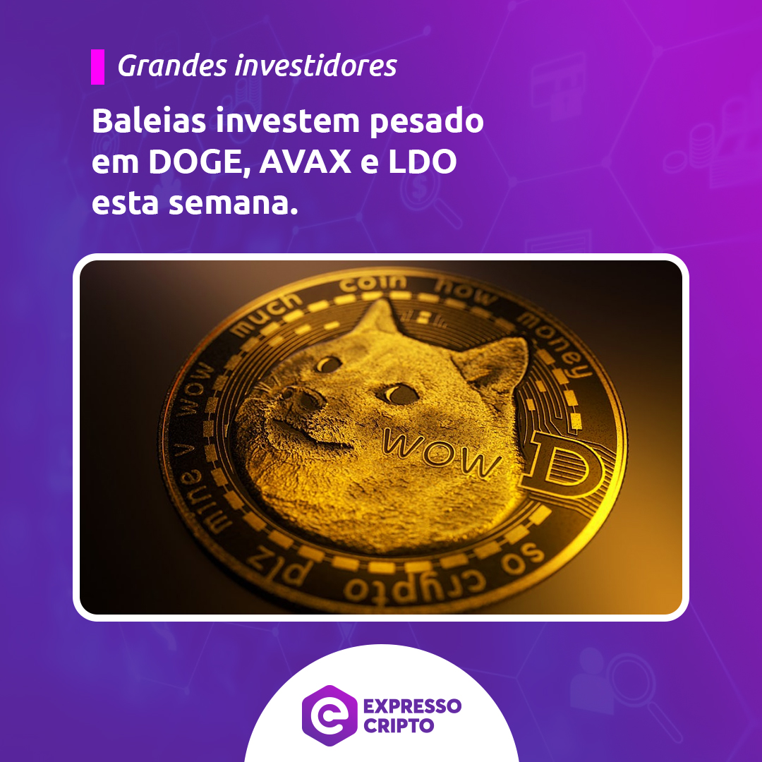expressocripto's tweet image. Grandes investidores movimentaram o mercado cripto esta semana:

🔺 AVAX: +151% no fluxo líquido, mirando US$ 40.
🐶 DOGE: 1,65B acumulados (US$ 569M).
📈 LDO: +15M tokens (US$ 31M).

Inovação ou aposta? 💡