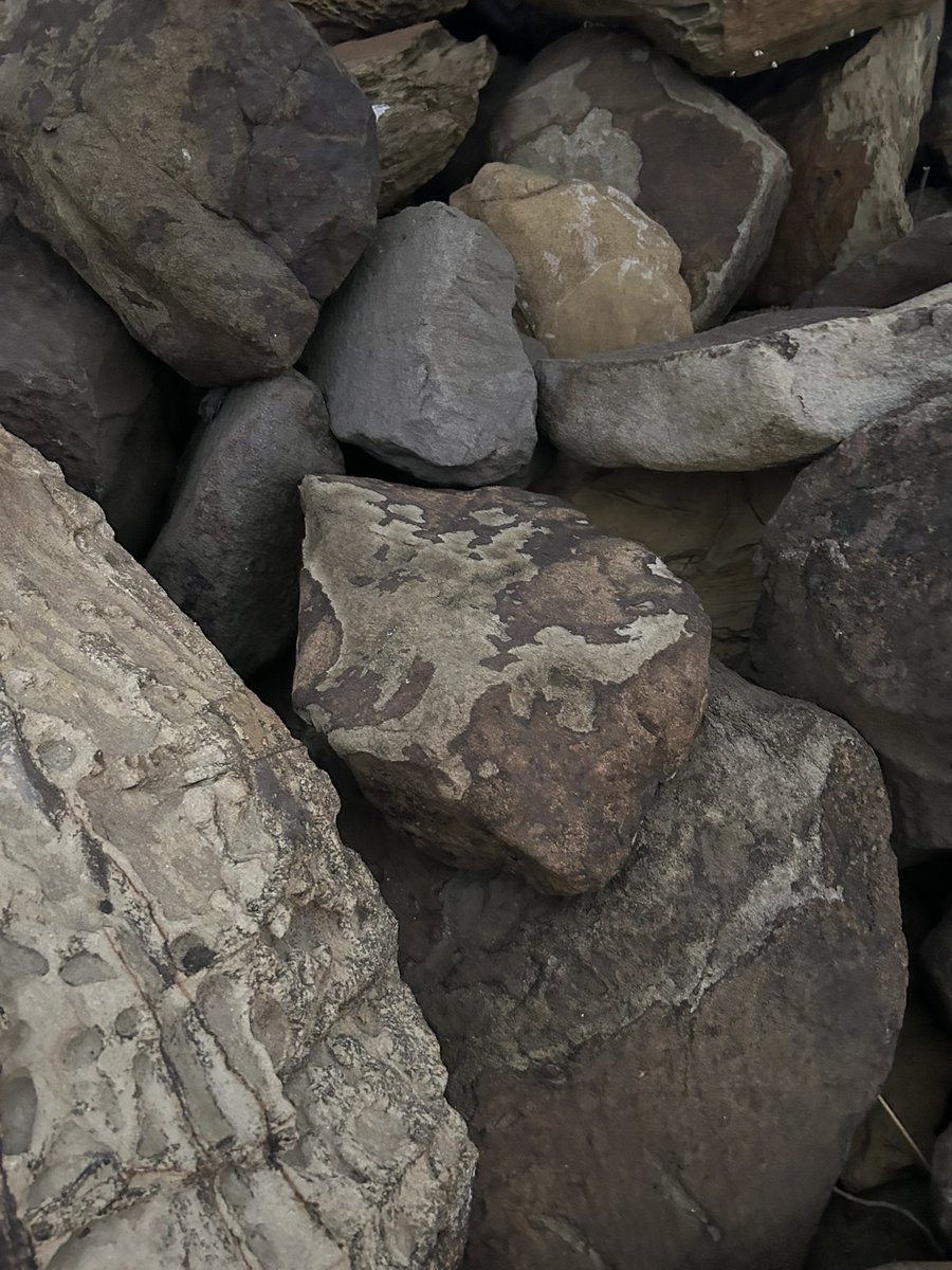 FlandersDed's tweet photo. This rock looks like Travis Scott utopia https://t.co/eU4Xtca4nI