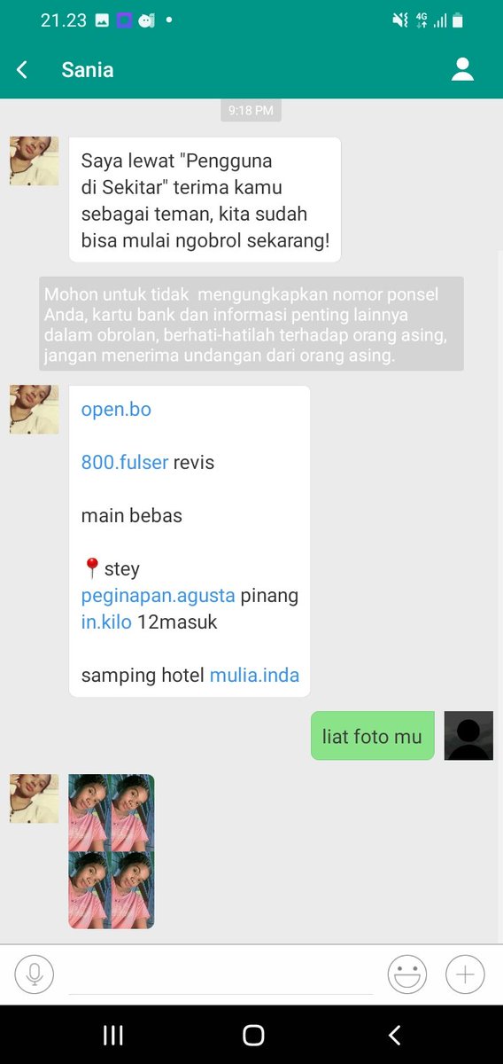 Nasion Bold tweet media