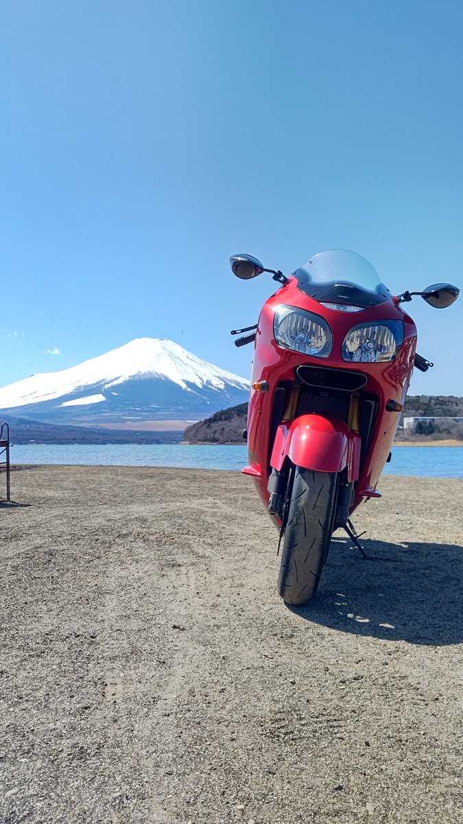 Noritamaオーダーページ MURASHIMA OnLineShop