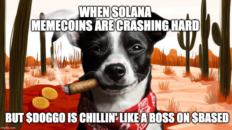 Market meltdown? Más tequila, por favor! 🍹 While everyone panics, $DOGGO is lounging on $BASED like a true jefe 🍸🌵