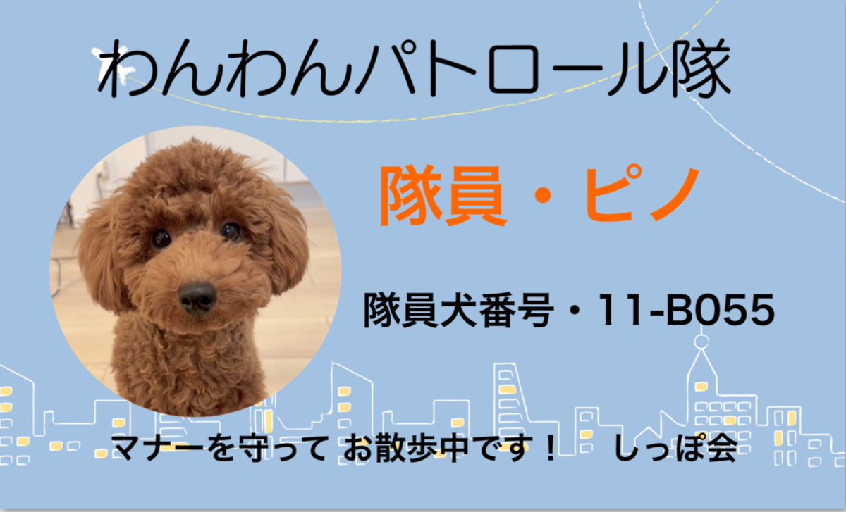 shippokai's tweet photo. しっぽ会新会犬ちゃんですョ
Instagramのアカウントですがよろしくおねがいいたします🙇

https://t.co/twxh9VgUzb https://t.co/aFFZuJSE6o