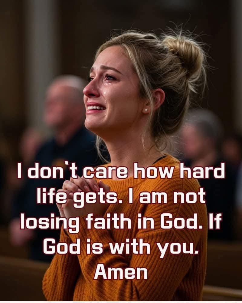 realdanieltitus's tweet image. ‼️‼️‼️