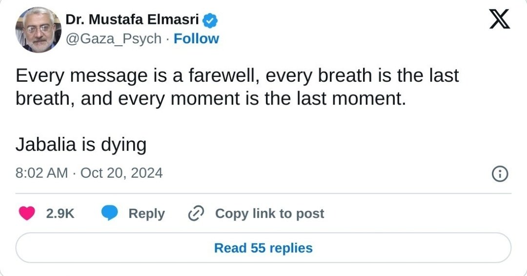 Ema🇵🇸 tweet media