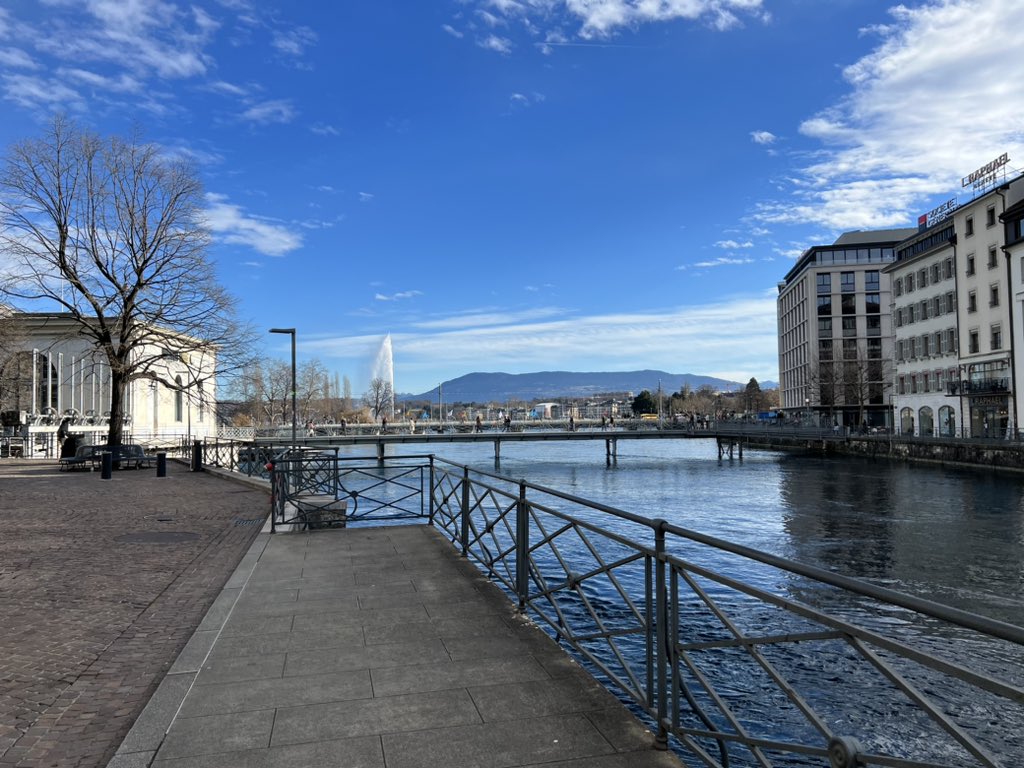 MarianneEjder's tweet image. #SeasonOfSpring #Sunshine #Geneva 🇨🇭🌞🕊️