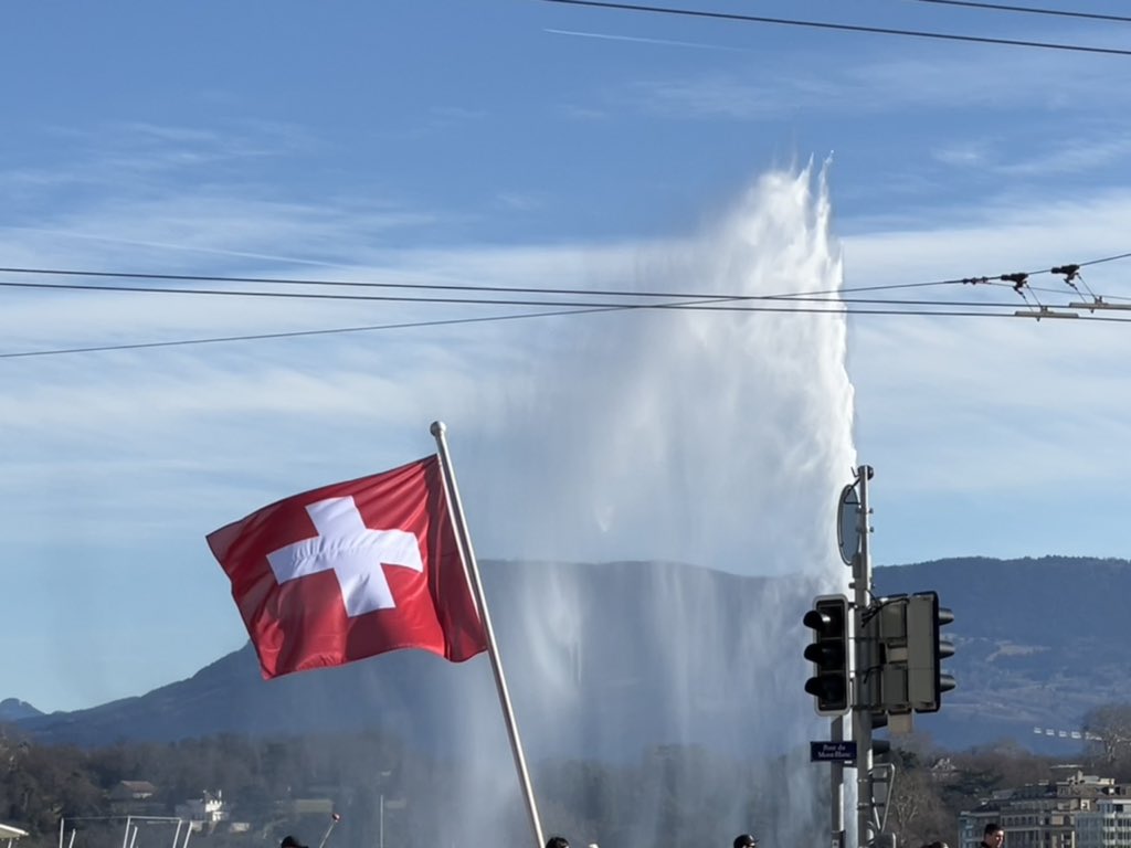 MarianneEjder's tweet image. #SeasonOfSpring #Sunshine #Geneva 🇨🇭🌞🕊️