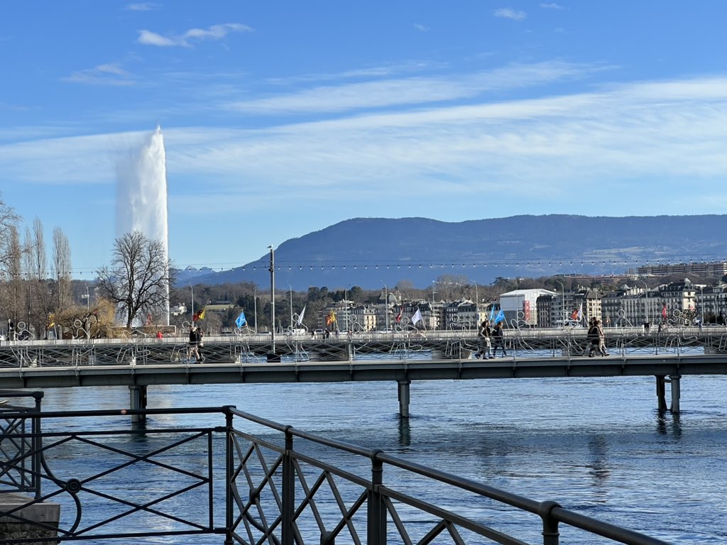 MarianneEjder's tweet image. #SeasonOfSpring #Sunshine #Geneva 🇨🇭🌞🕊️