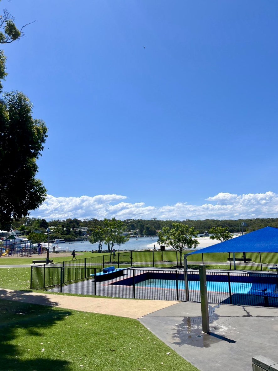 김온정 tweet media