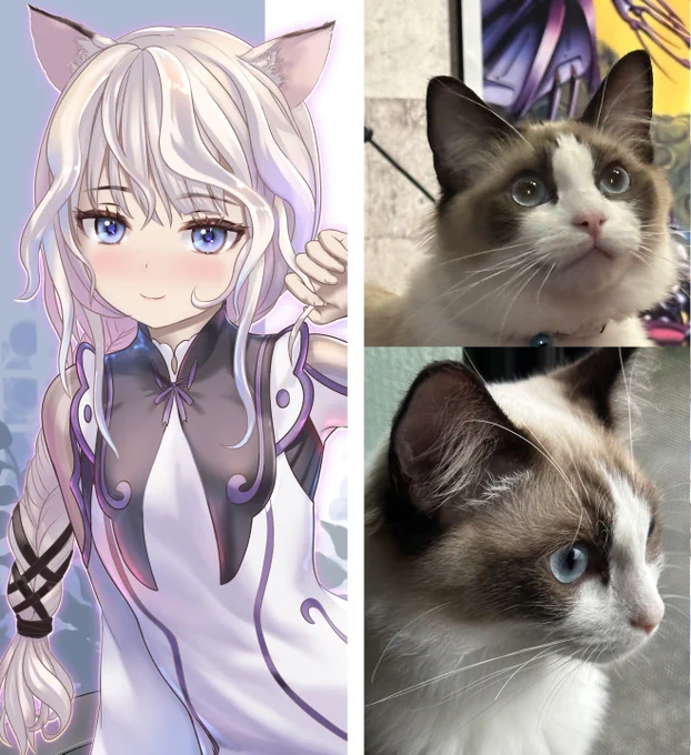 ラグにゃあを絵にして名刺とアイコンに 