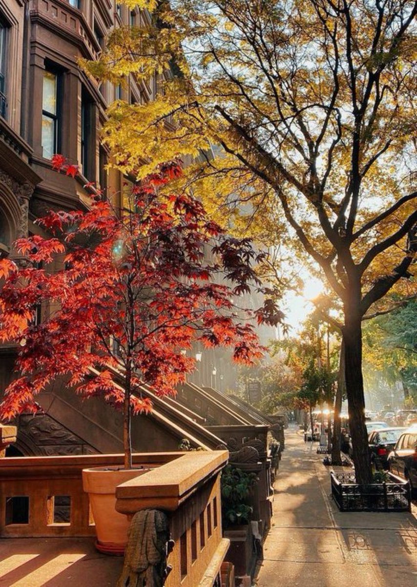 nycfeelings's tweet image. Good morning NYC 
📸 matilde_85